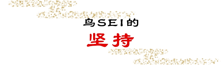 鸟SEI的坚持