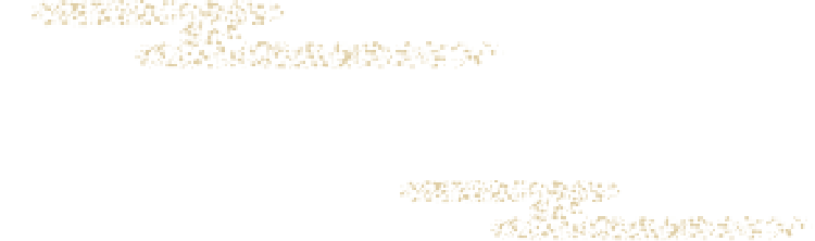鸟SEI的套餐