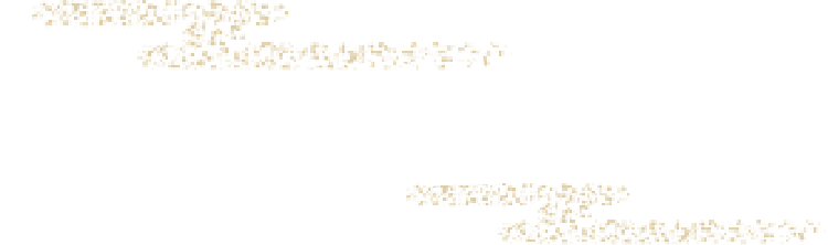 토리세이 코스